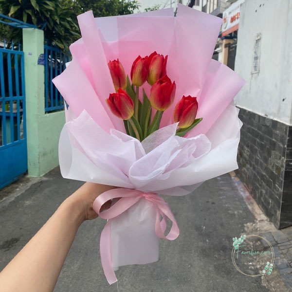Hoa Tulip - TL16