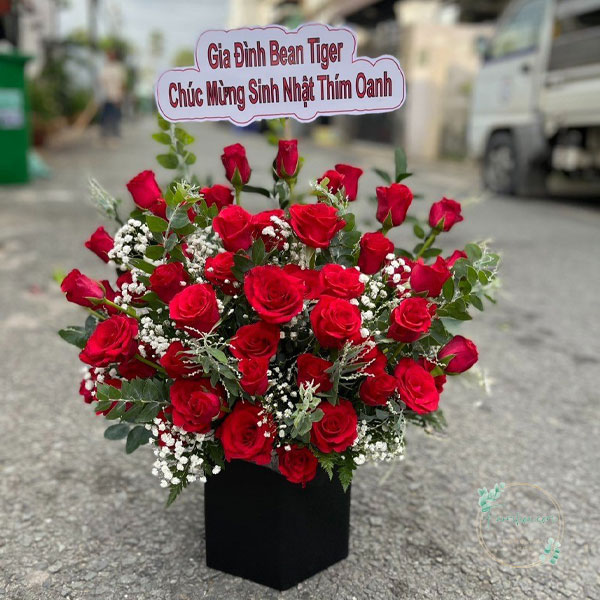 Hoa hồng đỏ - HHD61