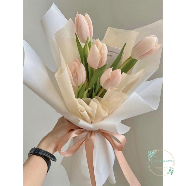 Hoa Tulip - TL74