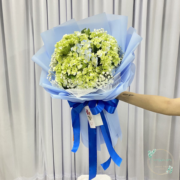 Tú cầu FH08