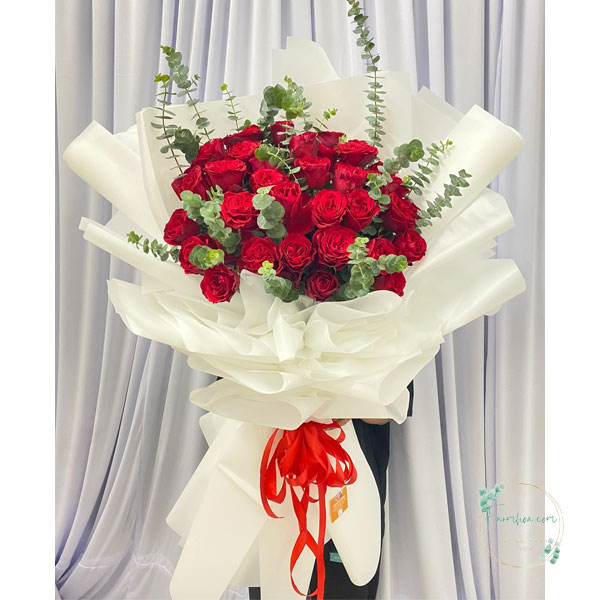 Hoa hồng đỏ - HHD55