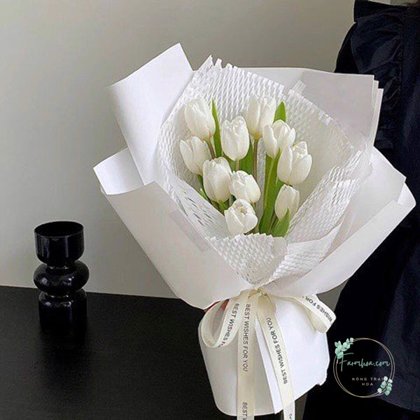 bo-hoa-tulip-trang-sang-trong