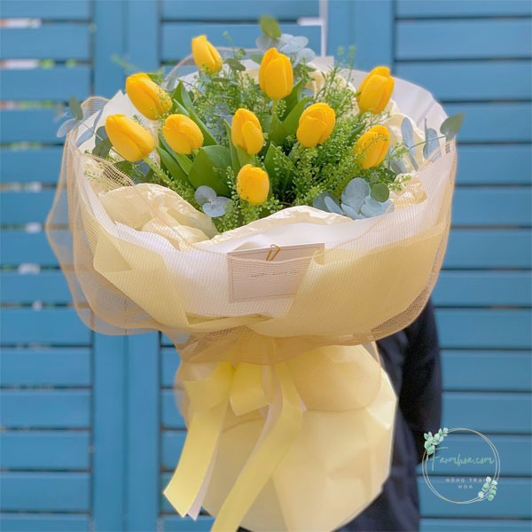 Hoa Tulip - TL63