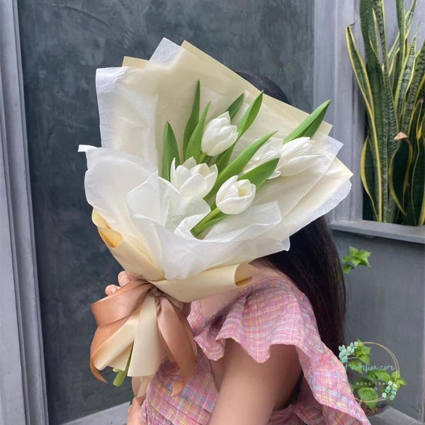 Hoa Tulip - TL87