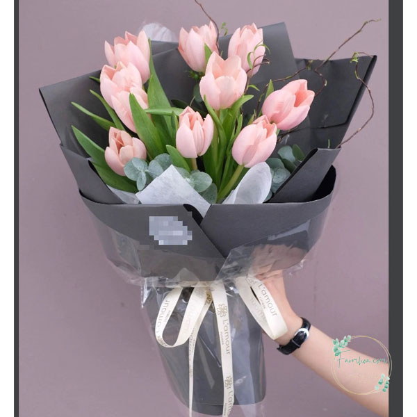 Hoa Tulip - TL73