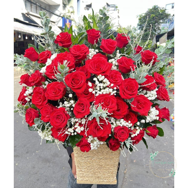 Hoa hồng đỏ - HHD24