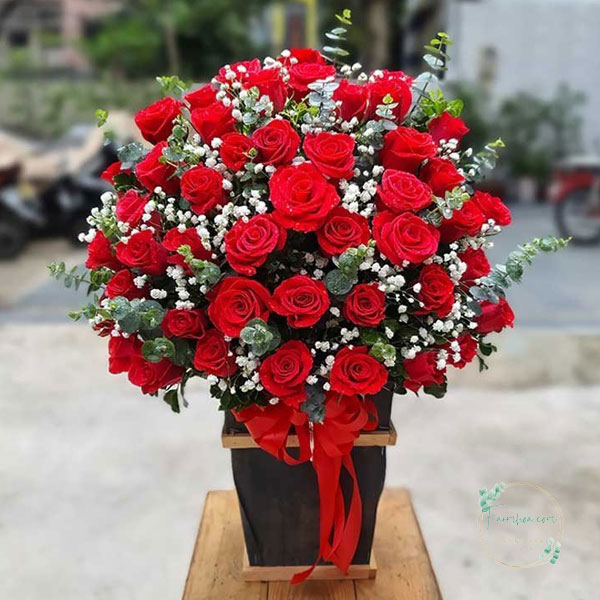 Hoa hồng đỏ - HHD07