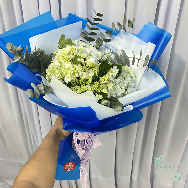 Bó Hoa Cẩm Tú Cầu Xanh Bơ- FH06