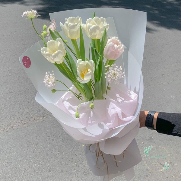 Hoa Tulip - TL67