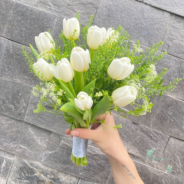 hoa-cuoi-cam-tay-tulip-trang