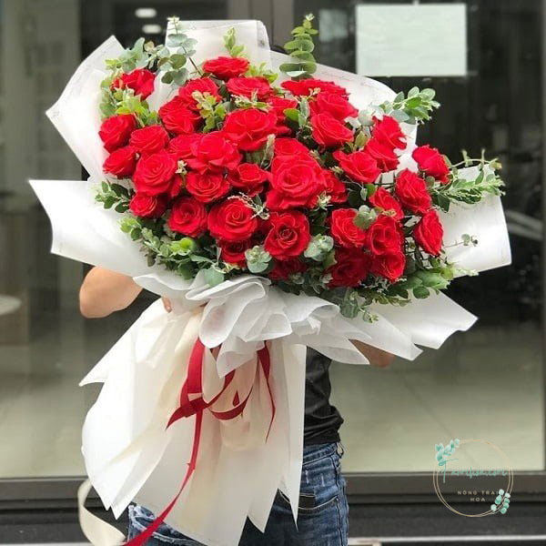 Hoa hồng đỏ - HHD32