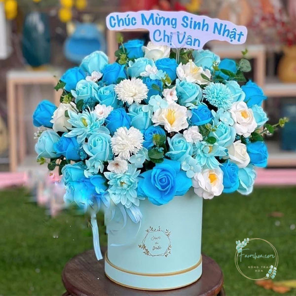 Hoa màu xanh dương - HXD50