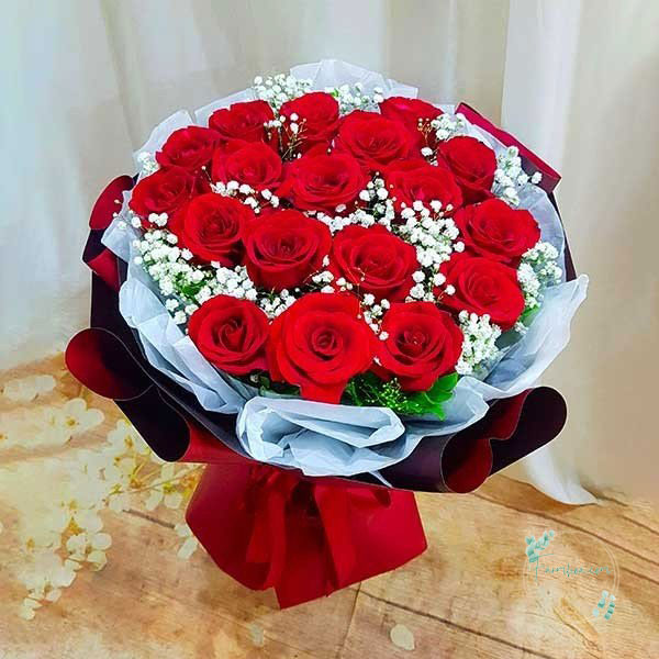 Hoa hồng đỏ - HHD30