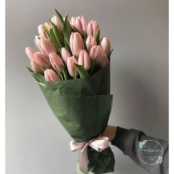 Hoa Tulip - TL46