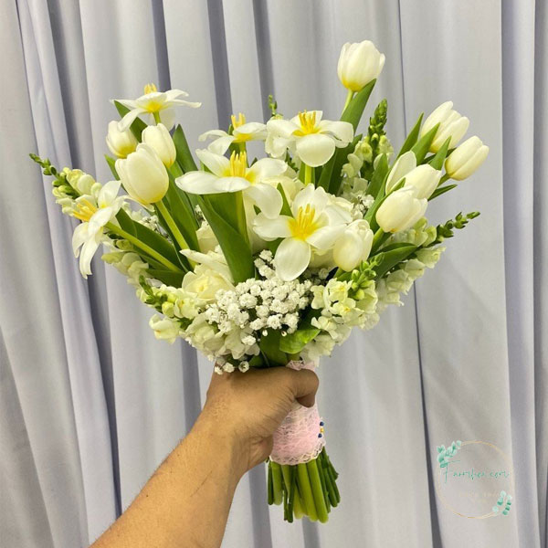 Hoa Tulip - TL11
