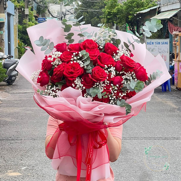 Hoa hồng đỏ - HHD43