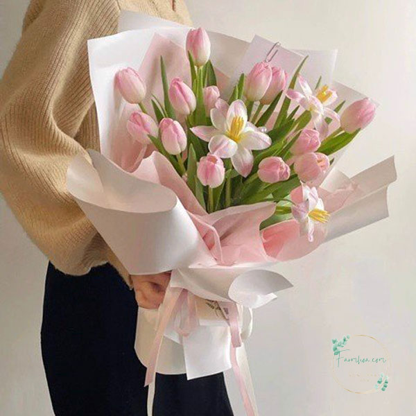 Hoa Tulip - TL52