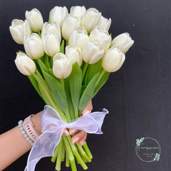 bo-hoa-cuoi-hoa-tulip-trang-don-gian