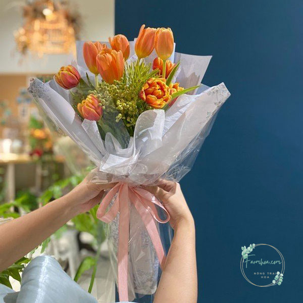 Hoa Tulip - TL58