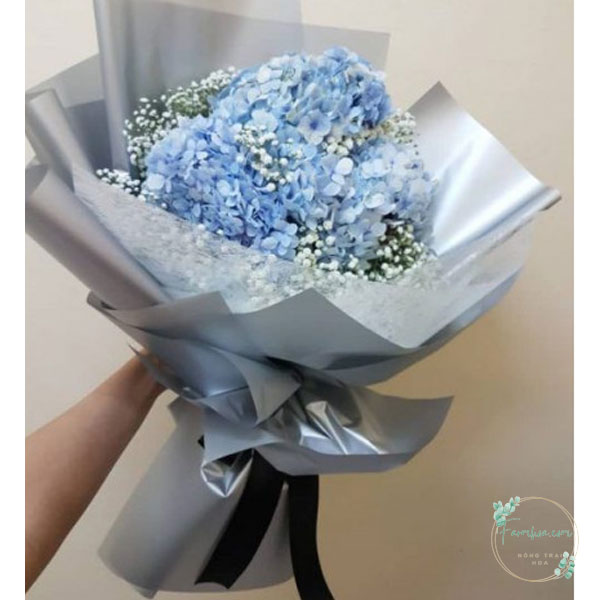 Tú cầu FH14