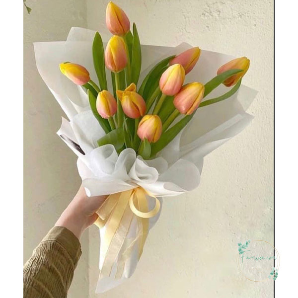 Hoa Tulip – TL103