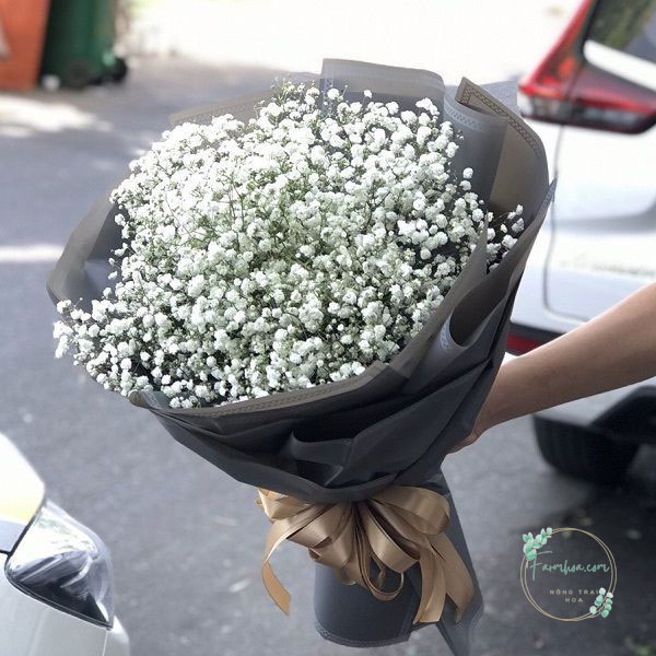 Dùng Hoa Gì Để Tỏ Tình? Gợi Ý 10 Loài Hoa Thay Lời Yêu Thương | Shop Hoa Farm Hoa 2f95e77fe18532db6b94