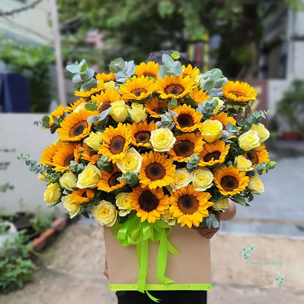 Hoa hướng dương - HDD02