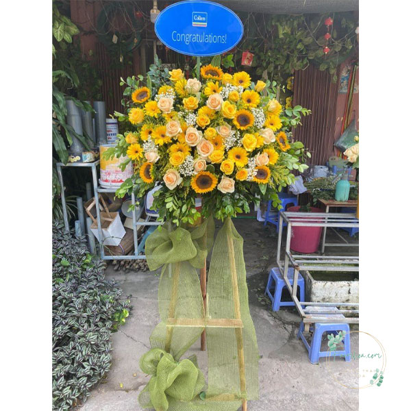 Kệ hoa chúc mừng – HKT69