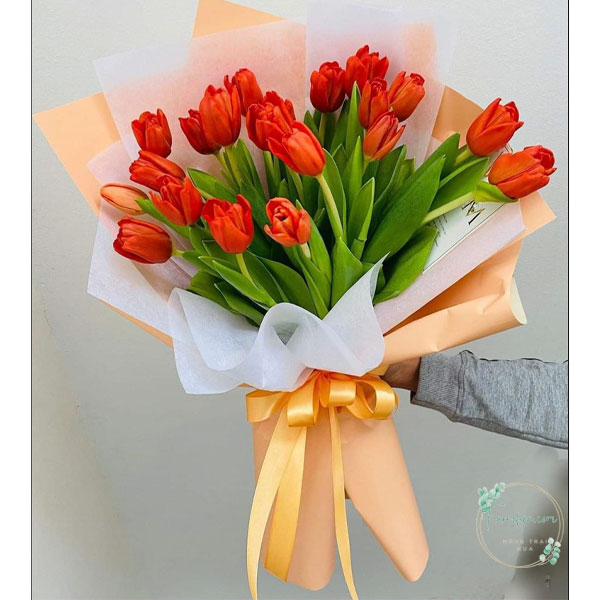 tang-hoa-tulip