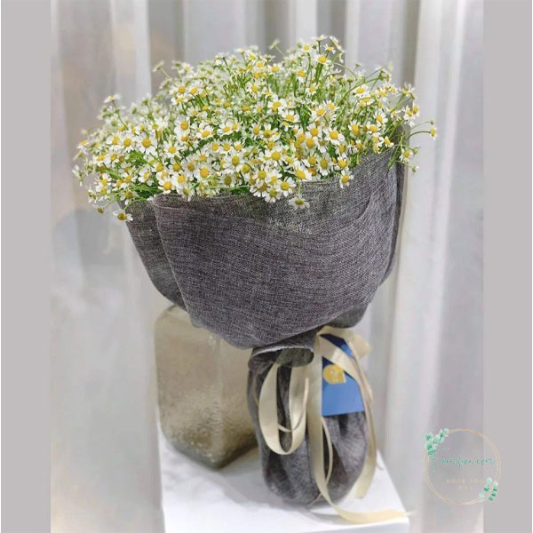 Lời Hẹn Trăm Năm – HCTN51