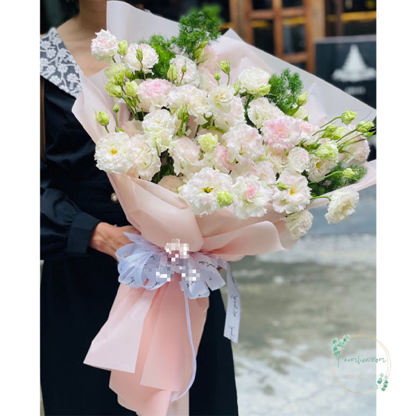 Hoa cát tường - HCT06