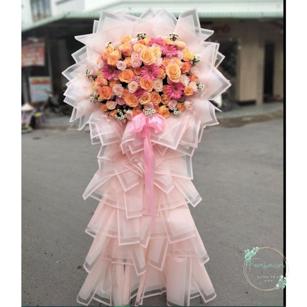 Kệ hoa chúc mừng – HKT49