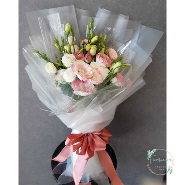 Hoa cát tường – HCT22