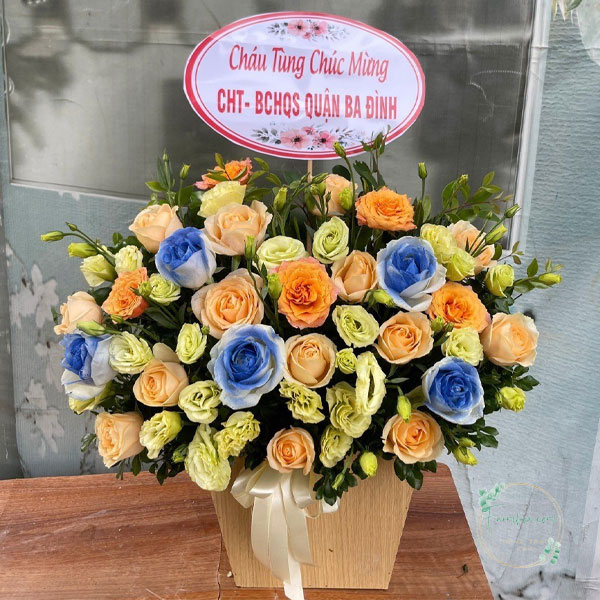 Hoa cát tường – HCT16