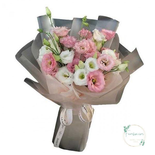Hoa cát tường – HCT25
