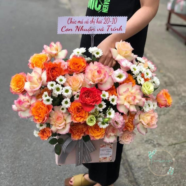 Hoa màu cam – HMC29