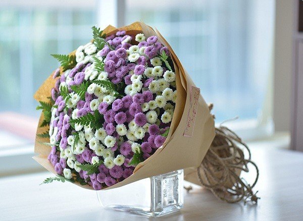 Hoa màu trắng – HMT42