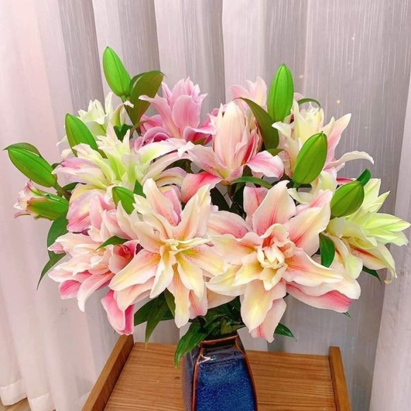 Hoa ly kép - HLK21 (1 bó 5 cành chưa bao gồm bình)