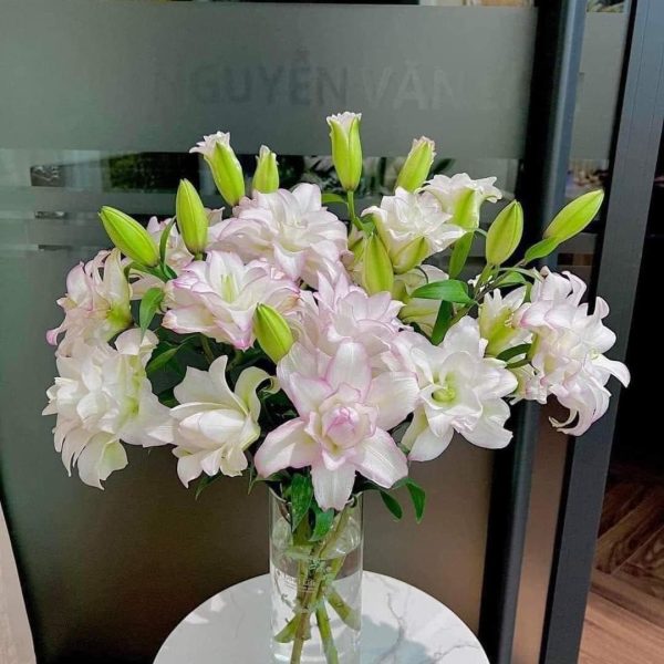Hoa ly kép - HLK14 (1 bó 5 cành chưa bao gồm bình)