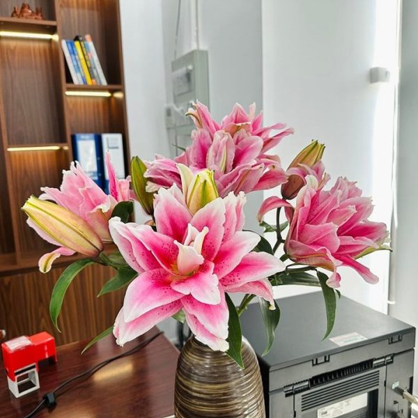 Hoa ly kép - HLK31 (1 bó 5 cành chưa bao gồm bình)