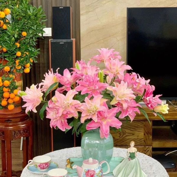 Hoa ly kép - HLK33 (1 bó 5 cành chưa bao gồm bình)