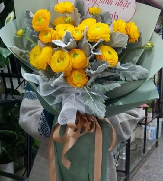 Hoa mao lương - HML24