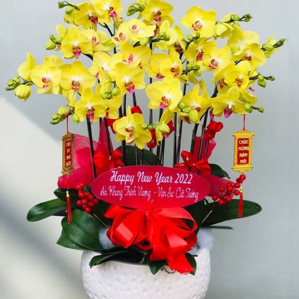 Chậu hồ điệp 15 cành - LHD75