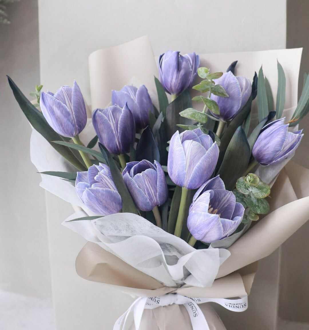 bo-hoa-tulip-tim