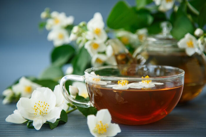 Ý Nghĩa Của Hoa Nhài Trắng Trong Tình Yêu, Cuộc Sống, Công Dụng Của Hoa Nhài tra-hoa-nhai